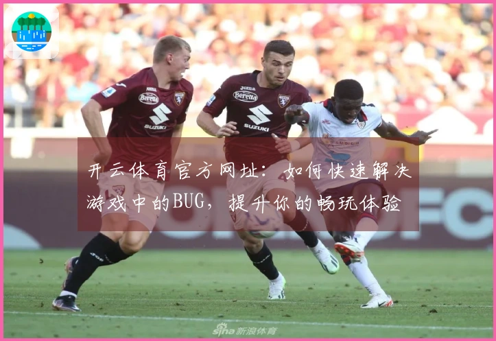 开云体育官方网址：如何快速解决游戏中的BUG，提升你的畅玩体验
